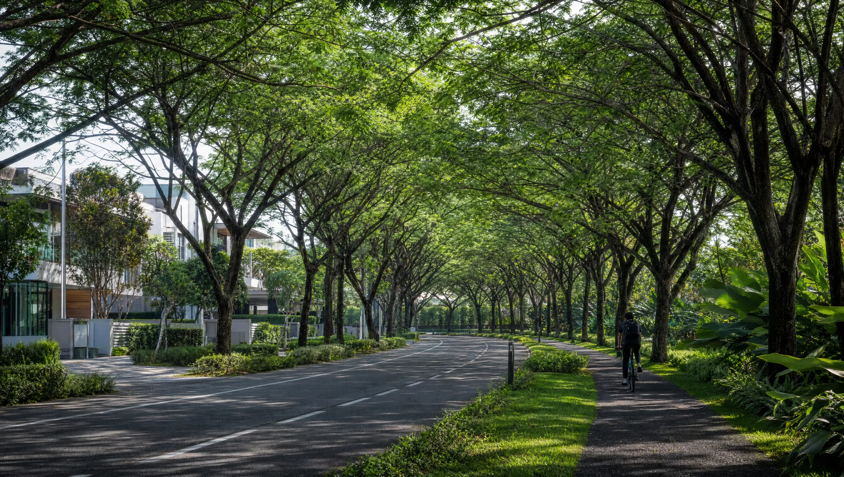 Tree-lined boulevard through Eco Majestic in the morning
